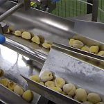 Wiegetechnik Topping Concept Fruit