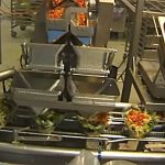 Alpha T2 Fertiggerichte