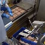 Wiegetechnik Alpha 2 3000-6000g