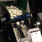 Wiegetechnik Alpha 4 Feta