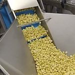 Weighing Unit 450-1000g